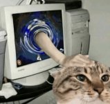 IMG_6872.jpeg