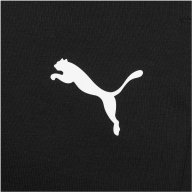 PUMA_PUMIRA