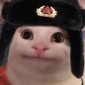 Shakro_Vorovskoy