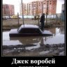 Viktor_P