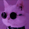 Seth_Paradox