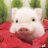 Piggy