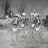 Gray_Wolf